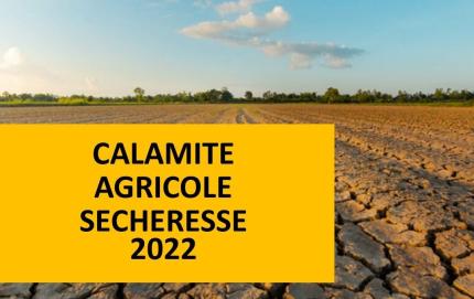 Calamité agricole sécheresse