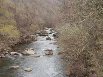 Rivière de l'Agout