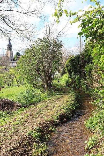béal du bez