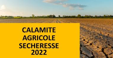 Calamité agricole sécheresse