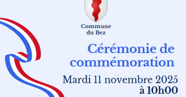 11 novembre