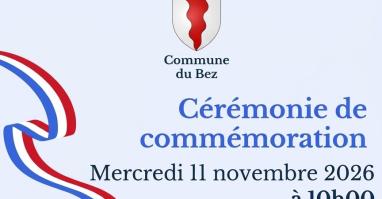 11 novembre